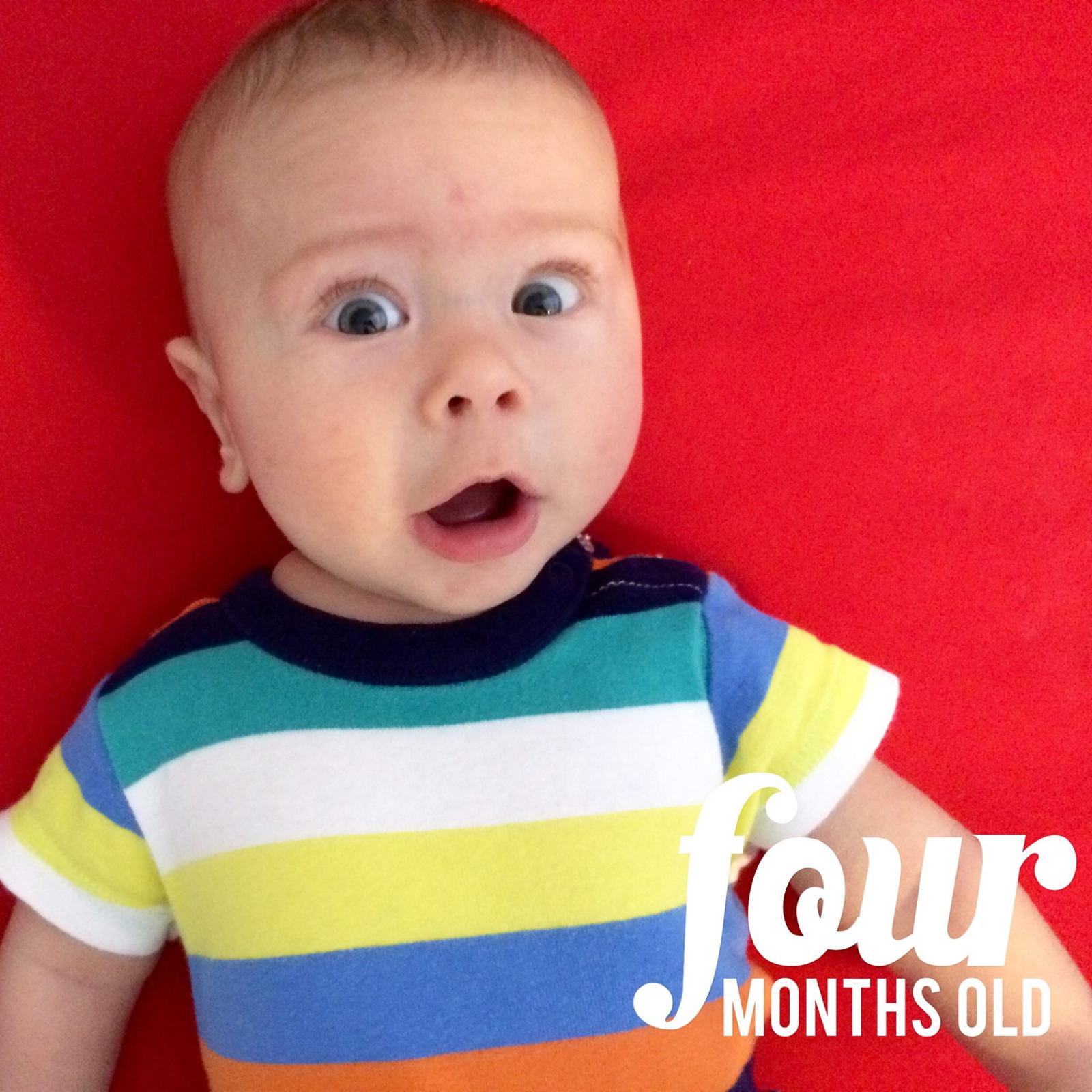 4 Month Update!