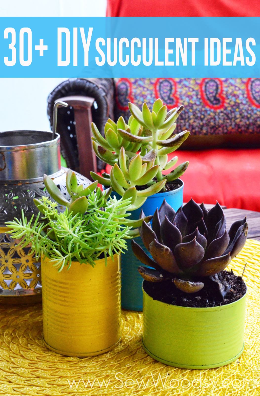 40 DIY Succulent Ideas