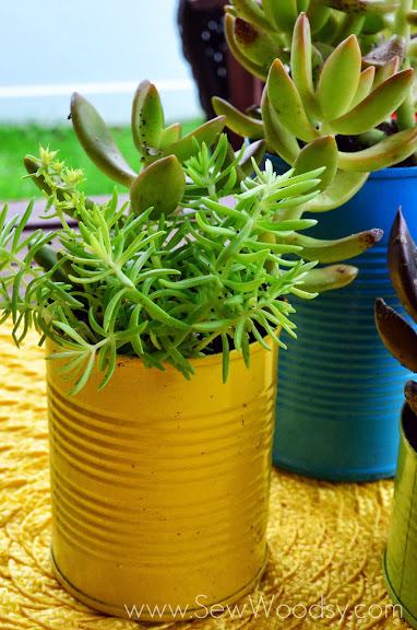 Aluminum Can Succulent Garden via gruro.com #LifeForLess #pmedia