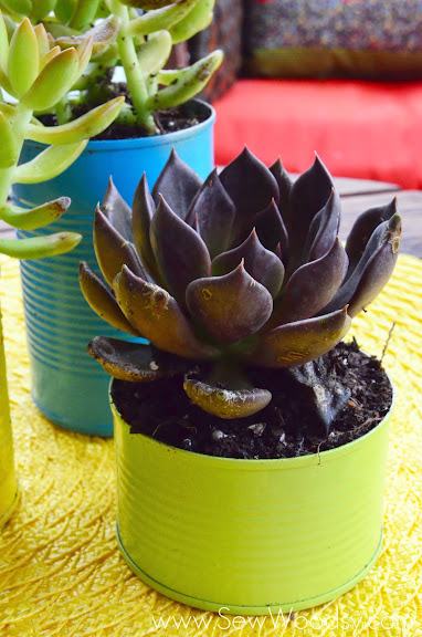 Aluminum Can Succulent Garden via gruro.com #LifeForLess #pmedia