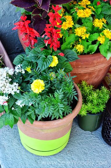 Faux Dip-Dyed Garden Pot via gruro.com