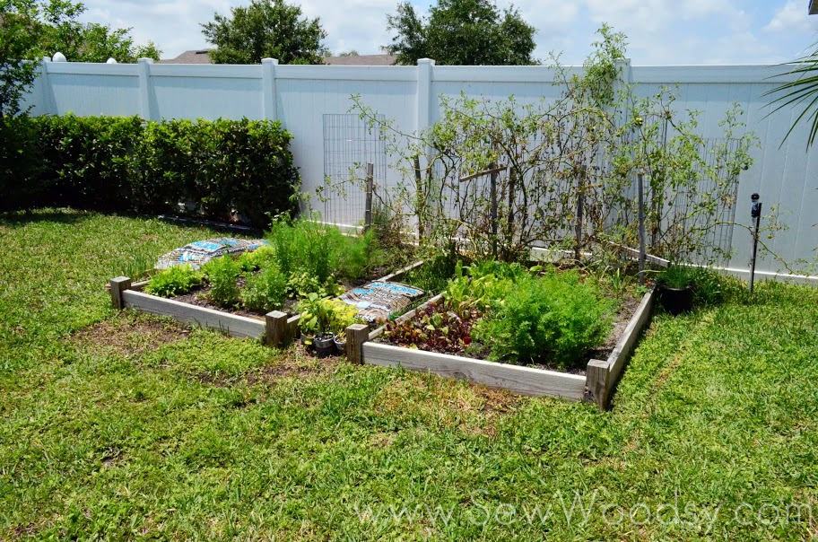 How to Build a Timber Garden Border + Vegetable Garden Tips from gruro.com #MiracleGroProject #DIY #Gardening