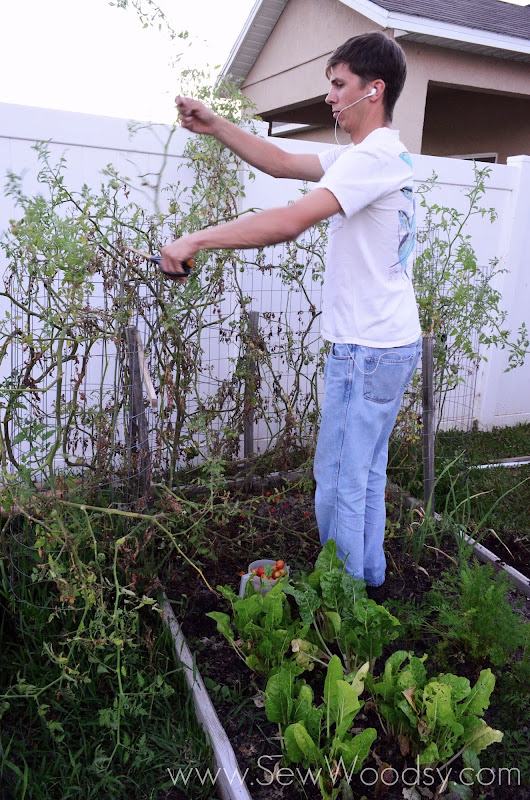 Man trimming long branches in a garden bed.