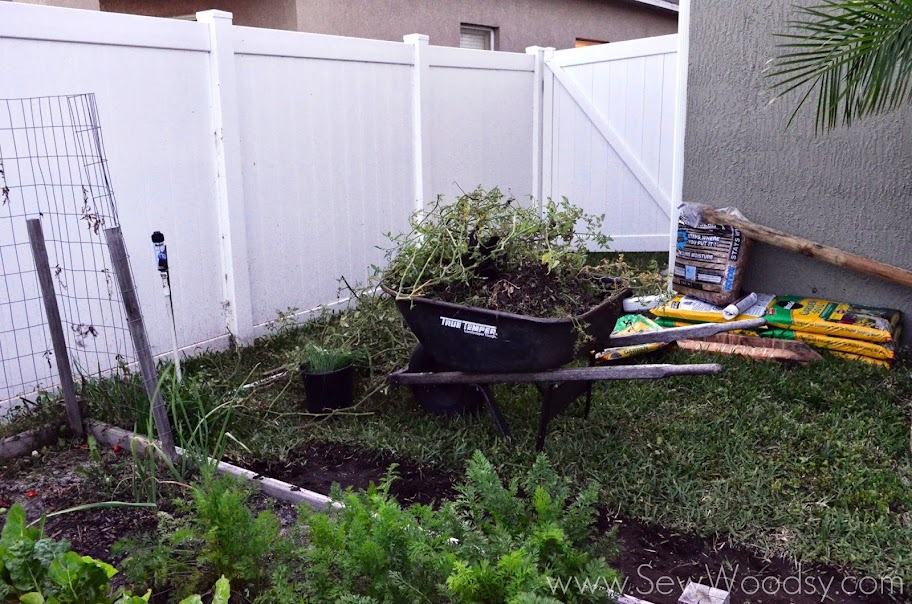 Wheel barrel full of grass and weeds.