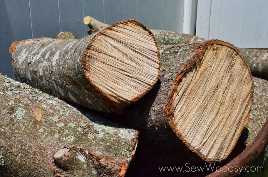 How to Create a Natural Log Pathway + Video via gruro.com