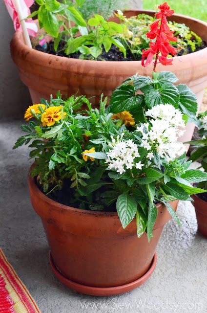 How to Create Outdoor Potted Floral Arrangements from gruro.com #gardening #diy