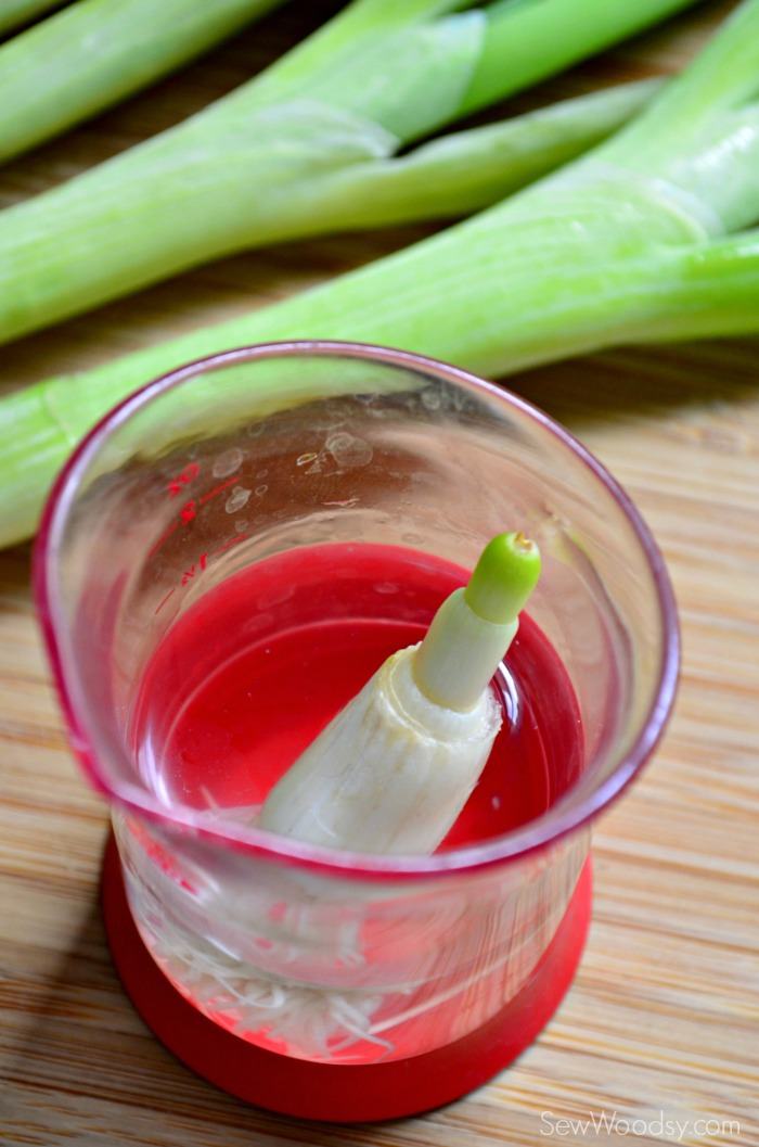 How to Grow Green Onions