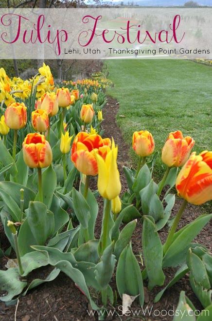 Tulip Festival, Lehi Utah - Thanksgiving Point Gardens via gruro.com #tulips #travel #photography