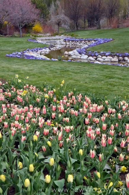 Tulip Festival, Lehi Utah - Thanksgiving Point Gardens via gruro.com