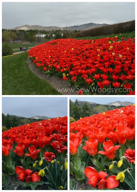 Tulip Festival, Lehi Utah - Thanksgiving Point Gardens via gruro.com