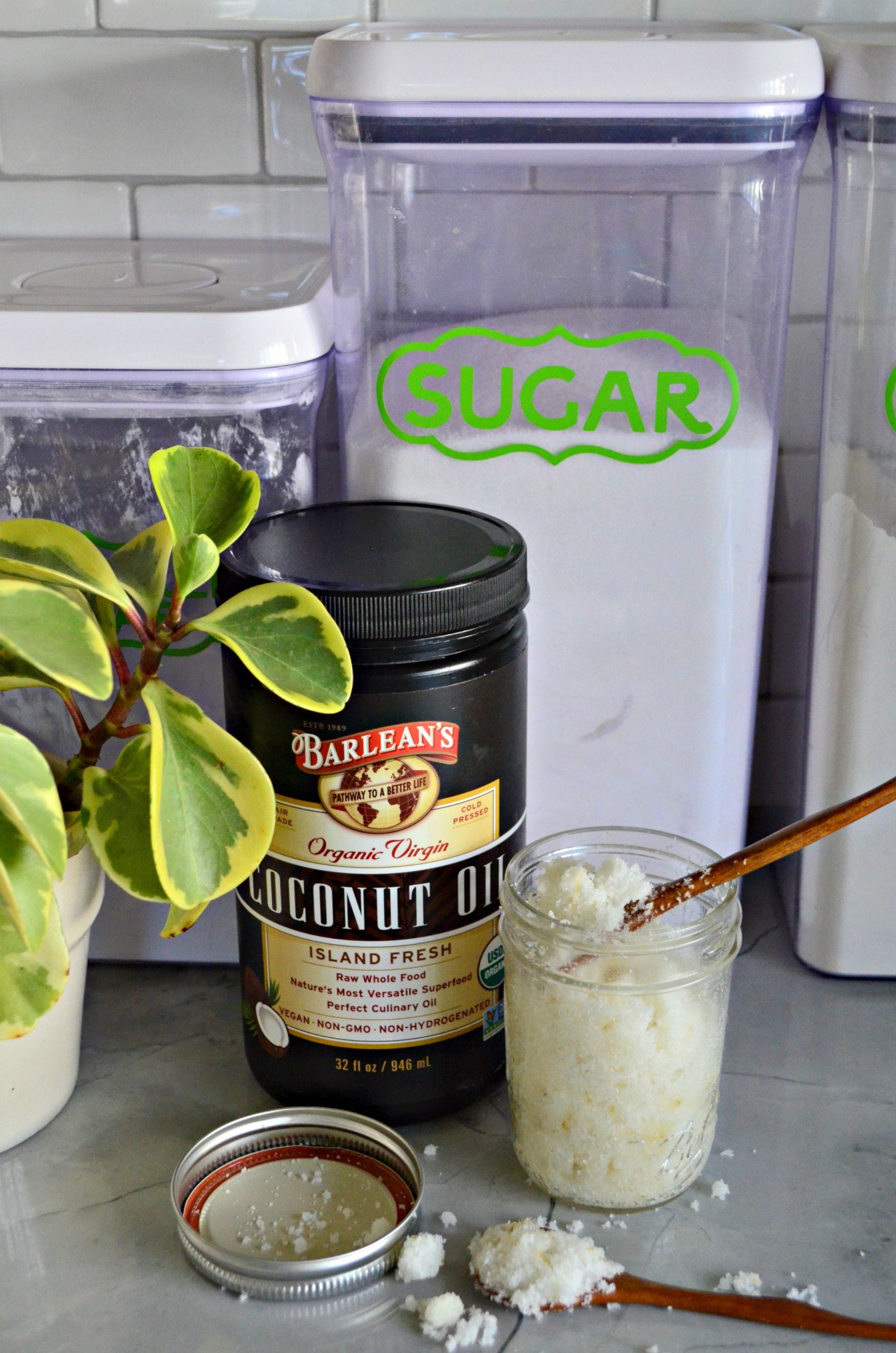 Glass mason jar filled with sugar scrub next to a bottle of coconut oil, a small plant and sugar in a container.