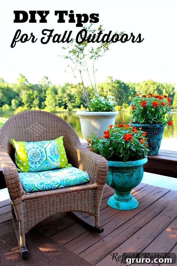 featured 16296