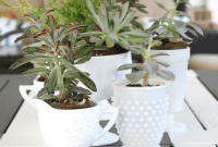 Milk Glass Succulents Vintage Charm for Your Home
