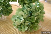 Unlock Lasting Hydrangea Beauty