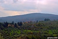 Unforgettable Adventures in Tuscany and Florence Italy