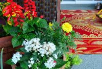 Ombre Effect Planter