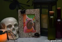 Gothic Spiderweb Photo Display