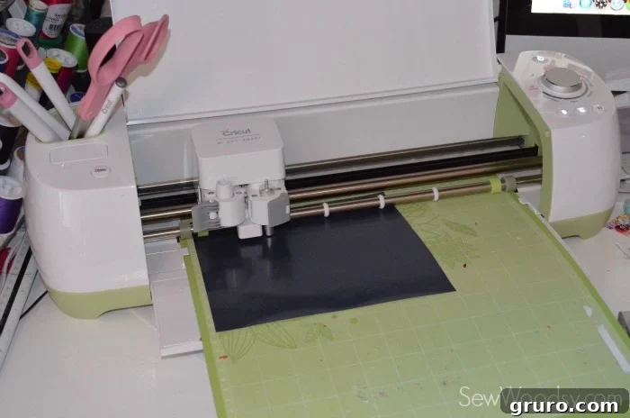 Cricut Explore cutting black iron-on vinyl for seeds