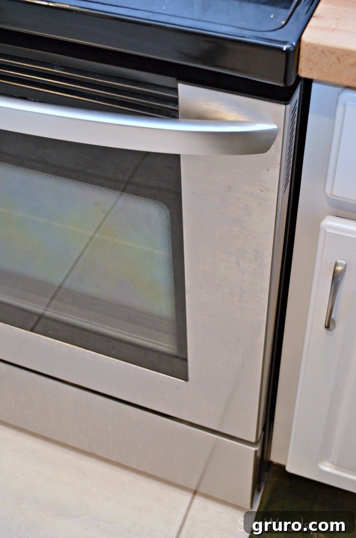 Before using Meister Cleaners, this stainless steel stove shows visible water spots and fingerprints.