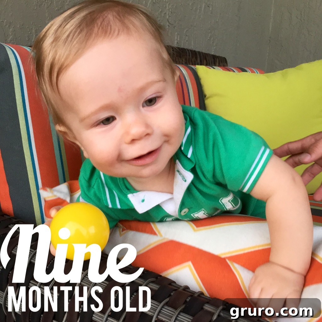 Ryder's Twelve-Month Odyssey 11 Nine-month-old Ryder, officially on the move and exploring