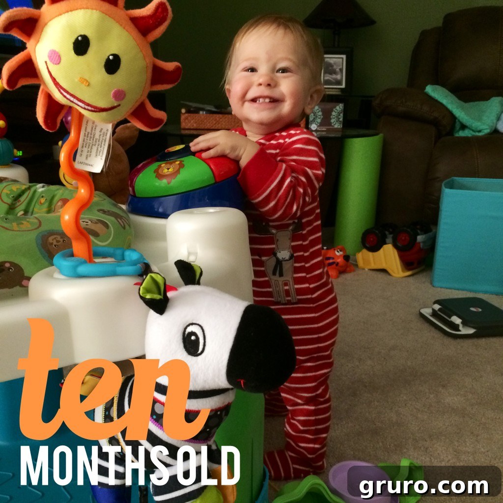 Ryder's Twelve-Month Odyssey 12 Ten-month-old Ryder, demonstrating advanced mobility and growing independence