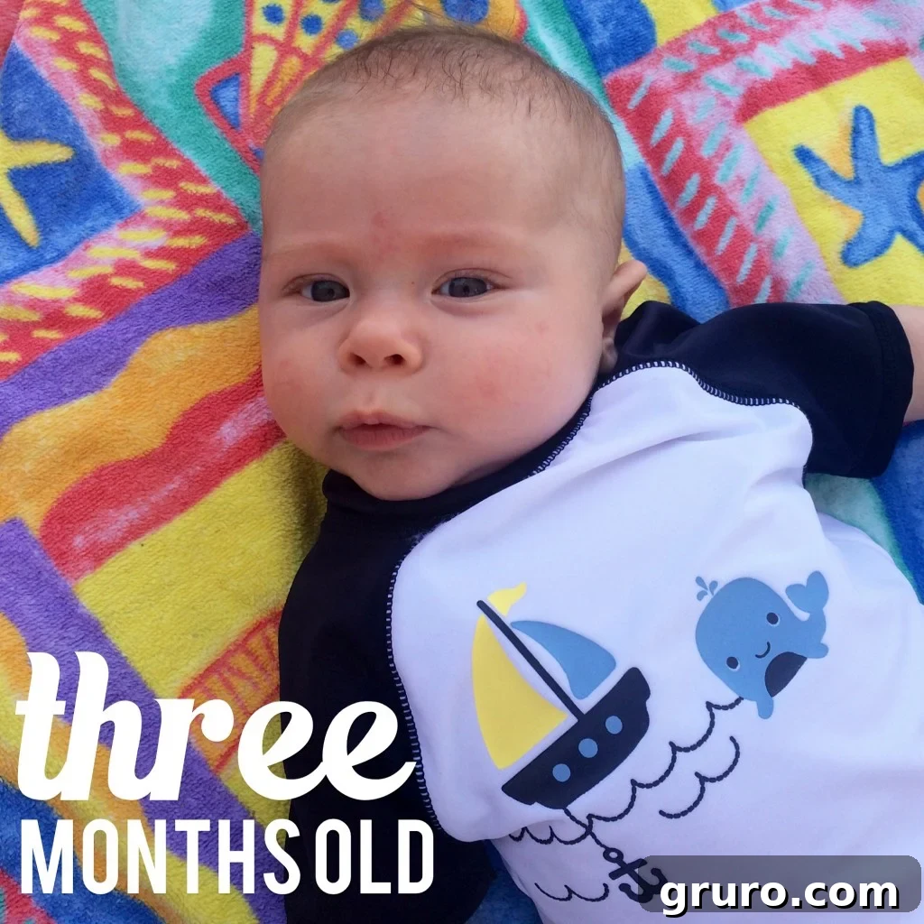 Ryder's Twelve-Month Odyssey 5 Three-month-old Ryder enjoying his first trip to the beach