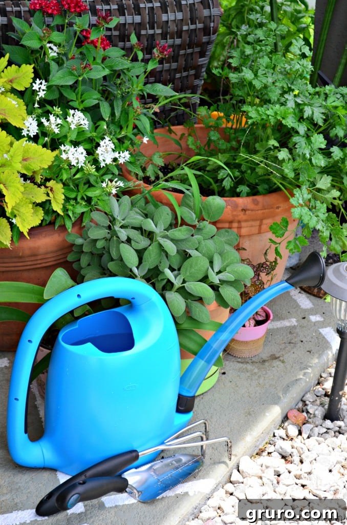 Gardening with OXO
