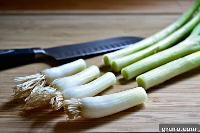 How to Grow Green Onions 2