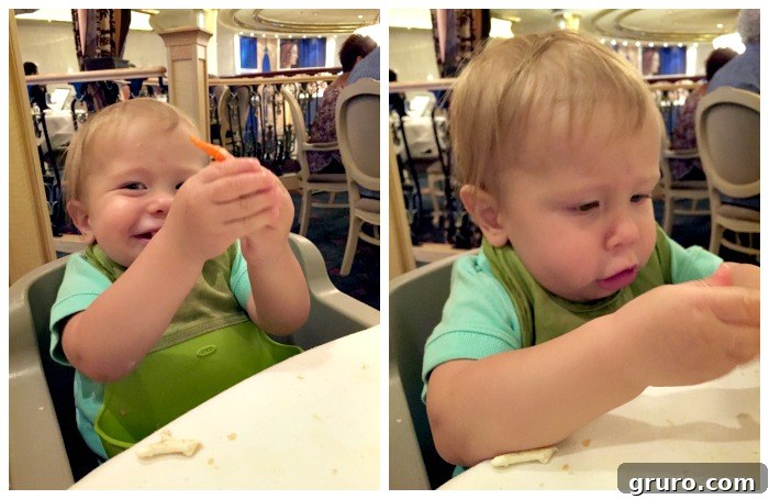 Tiny Explorer's First Voyage: Cruising with a One-Year-Old 6 1 Year Old Dining on a Cruise