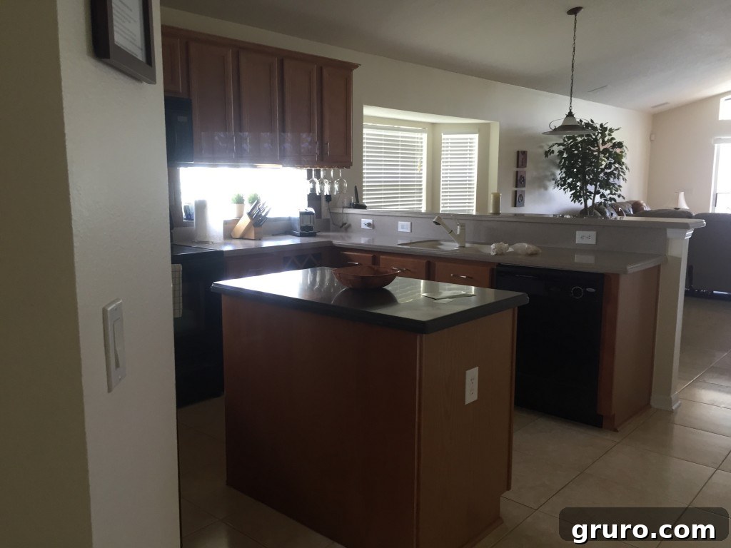 New home kitchen view 2 before renovation