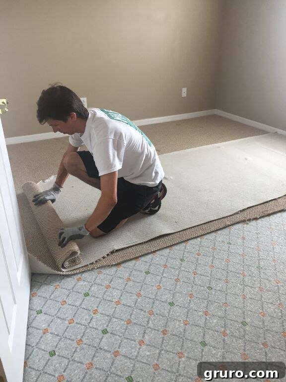 Transformation in Progress 2 Home renovation journey: Removing old carpet to prepare for new flooring