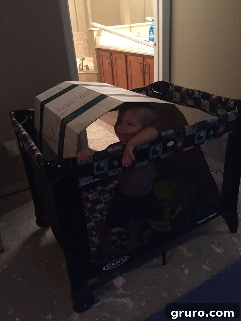 Transformation in Progress 20 Ryder enjoying playtime in a cardboard box fort