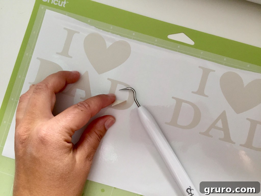 Cricut Design Space™