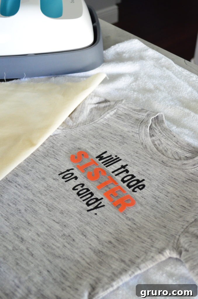 Craft Your Own Sibling-for-Sweets Tee 6 DIY 'Will Trade Sibling for Candy' T-Shirt - Sister Layer added