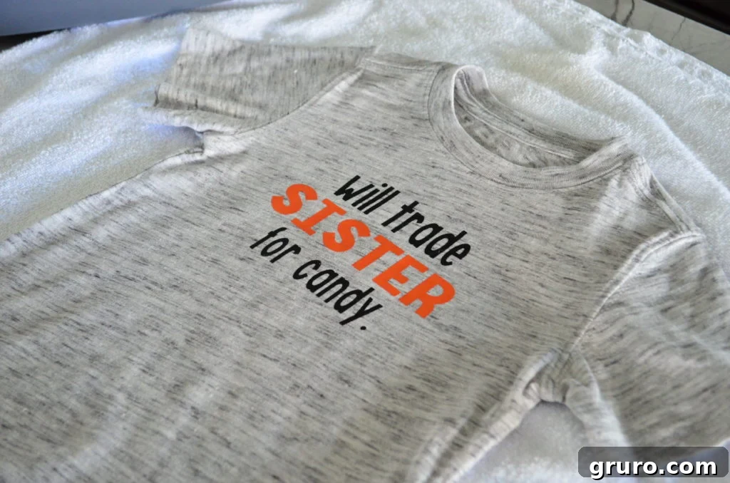 Craft Your Own Sibling-for-Sweets Tee 7 DIY 'Will Trade Sister for Candy' T-Shirt completed