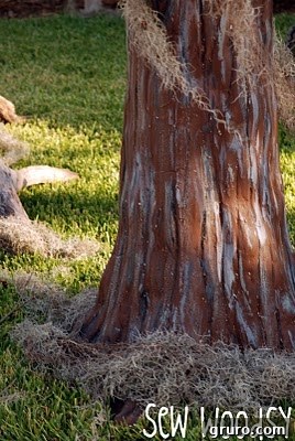 Natural moss artfully placed around the base of the spooky tree trunk.