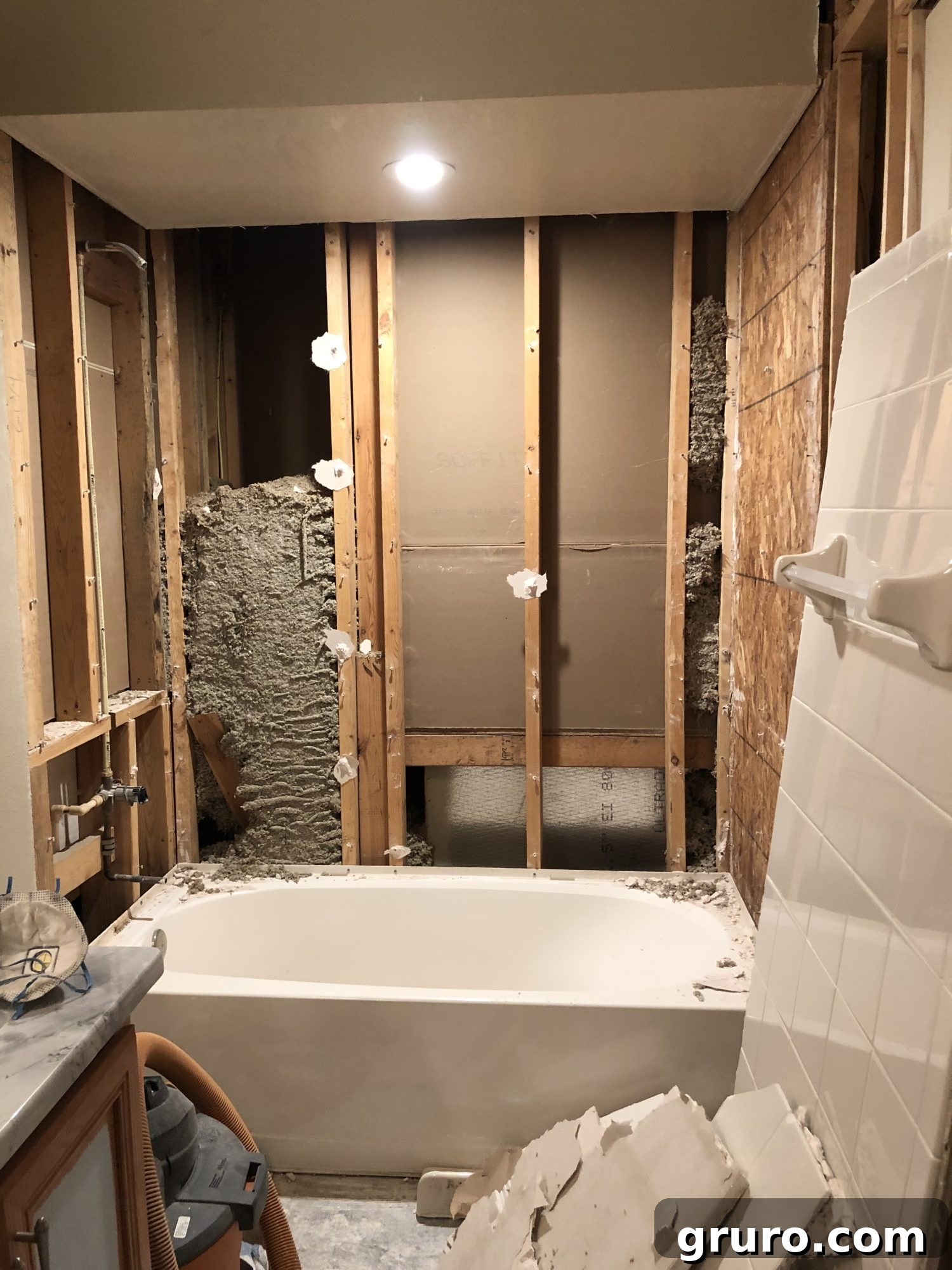 All three shower walls demolished down to the studs