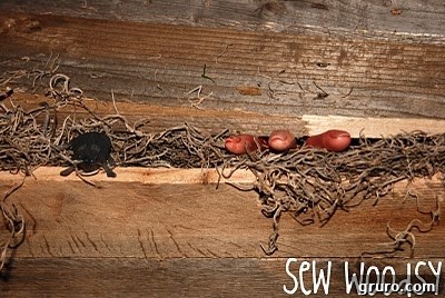 Rustic Halloween coffin viewed from the front, showcasing its weathered wood.