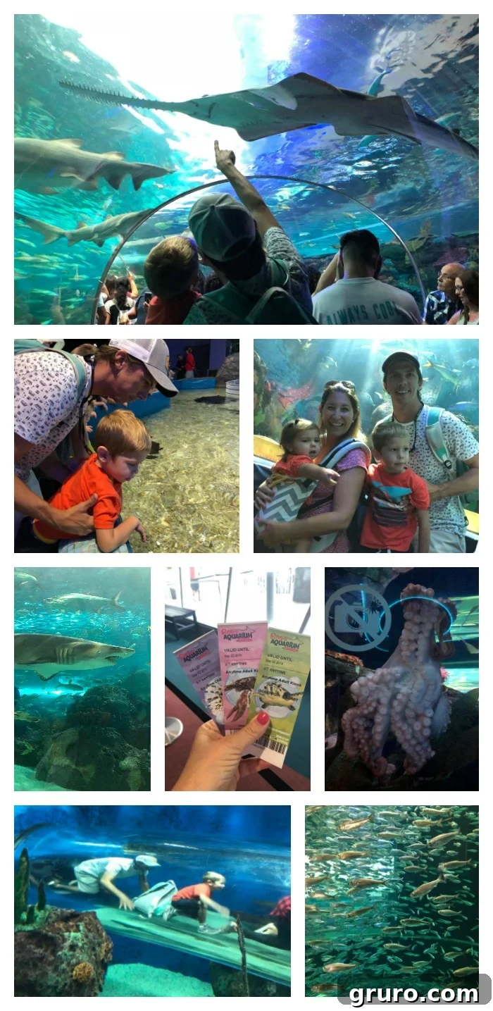 Ripley's Aquarium of Canada