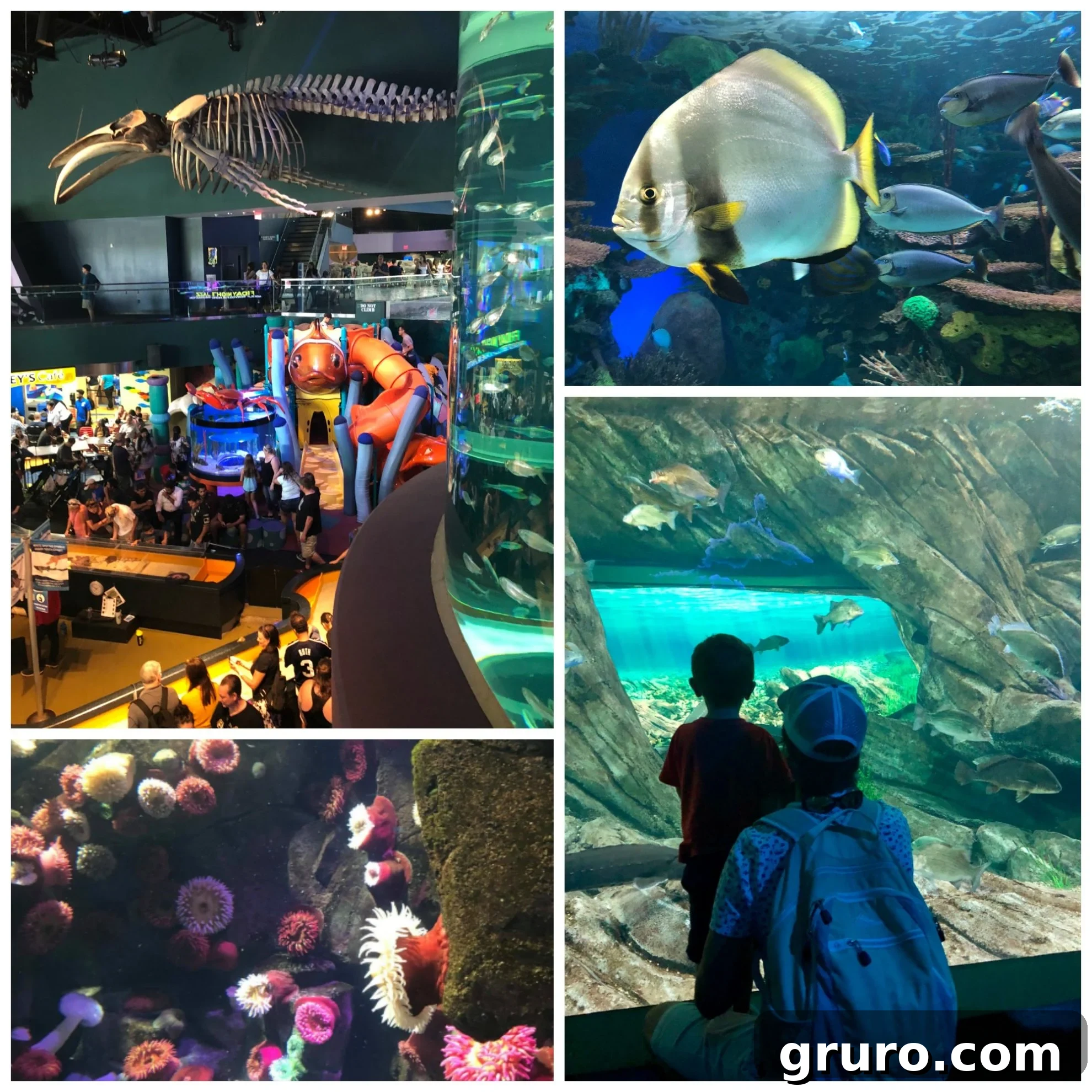 Ripleys Aquarium of Canada Kid's Play Area and Tanks - Kids touching stingrays