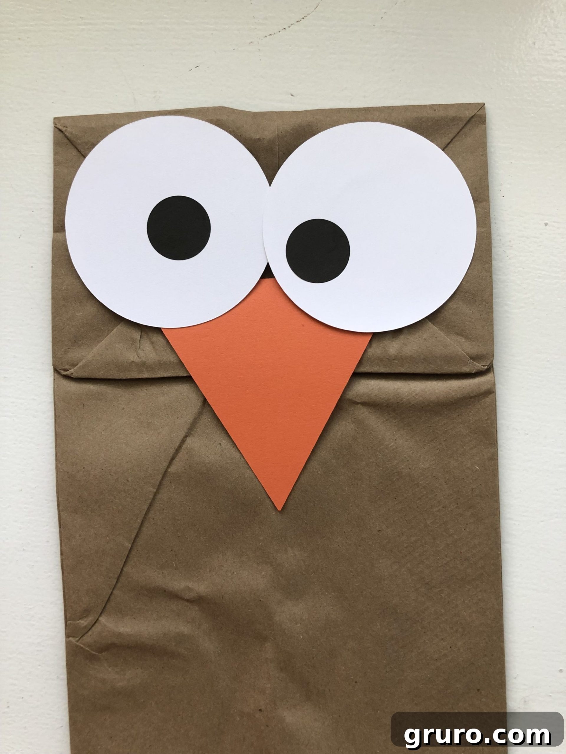 DIY Turkey Paper Bag Puppets 6 A close-up of a brown paper bag puppet face, featuring two expressive white eyes with black pupils and a vibrant orange triangular beak, giving the turkey its distinct character.