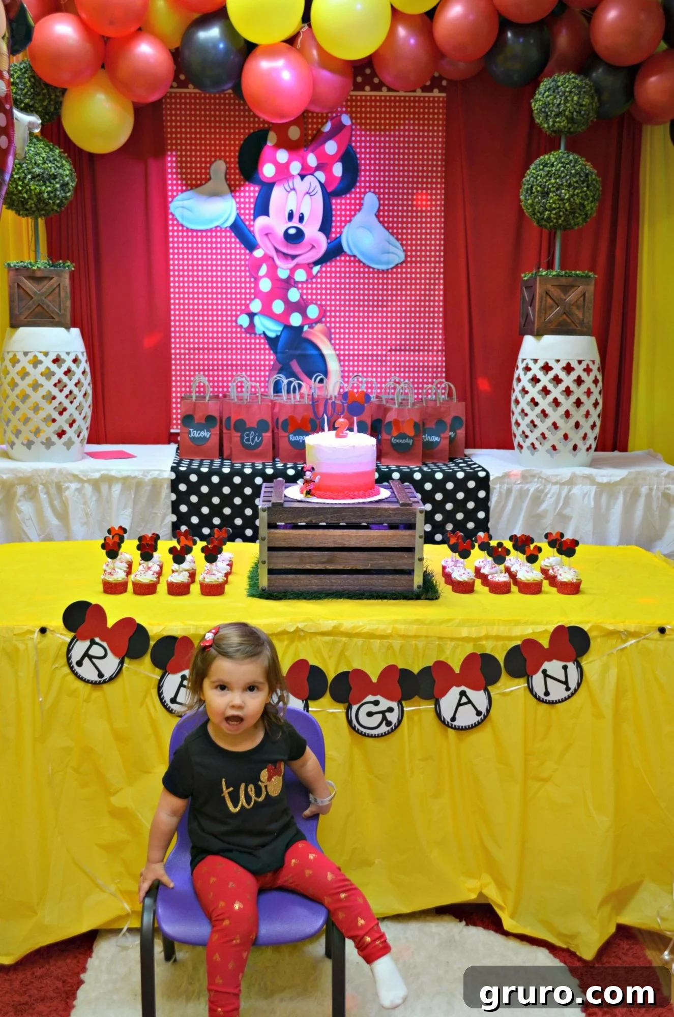 Minnie Mouse Birthday Party