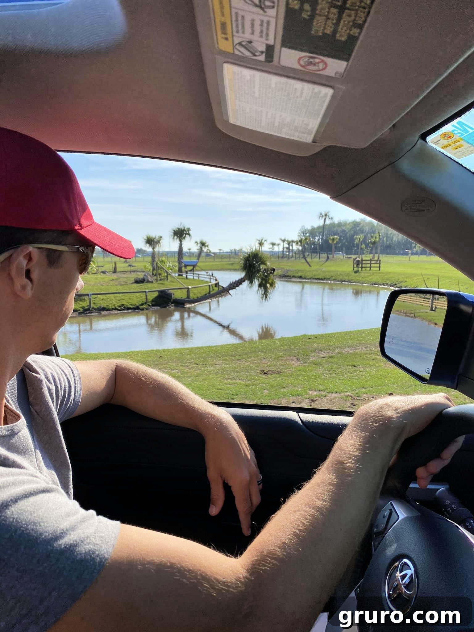 Family driving through Wild Florida Drive-Thru Safari Park.
