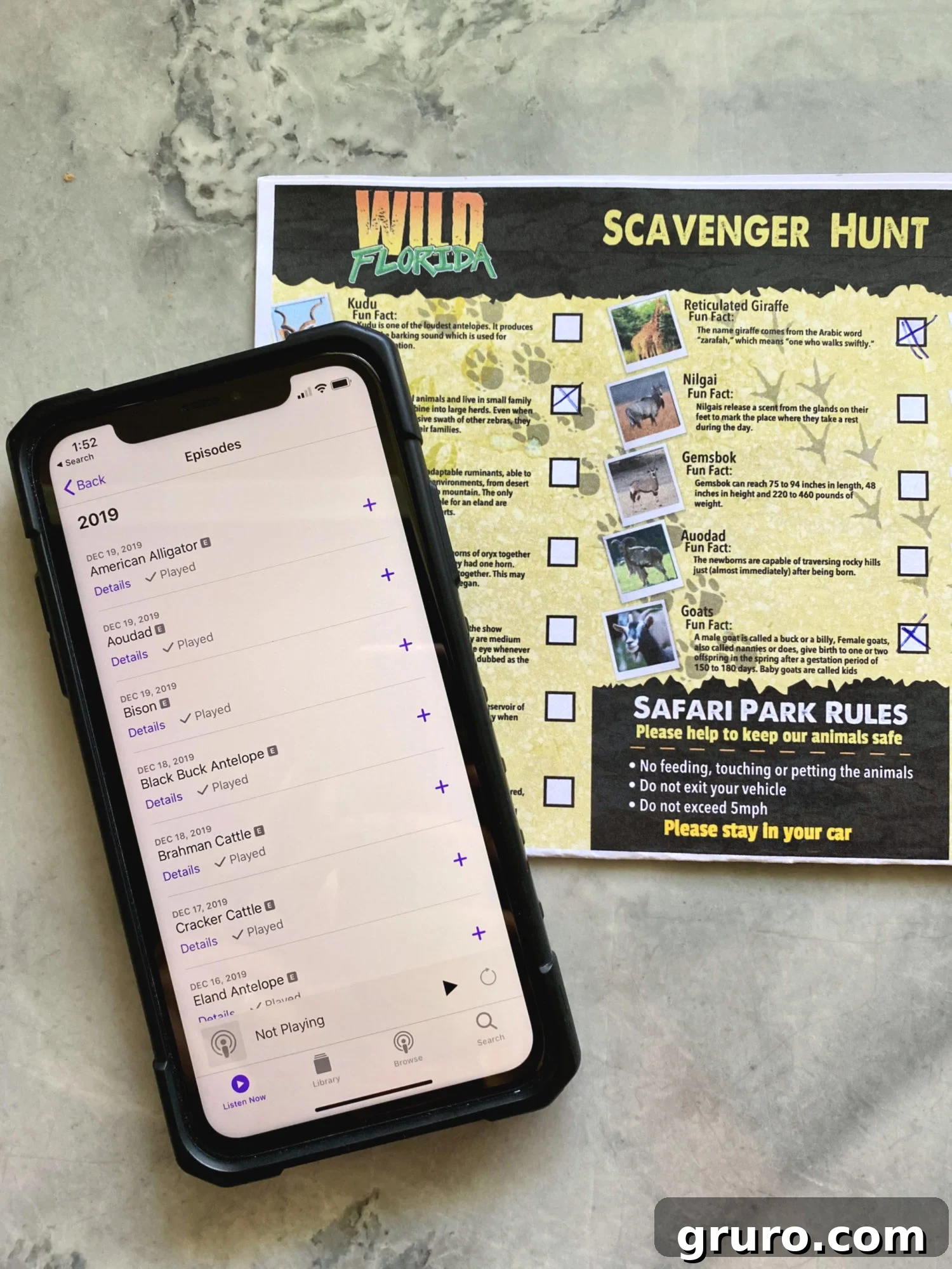 Download the Podcast and Scavenger Hunt from Wild Florida Drive-Thru Safari Park