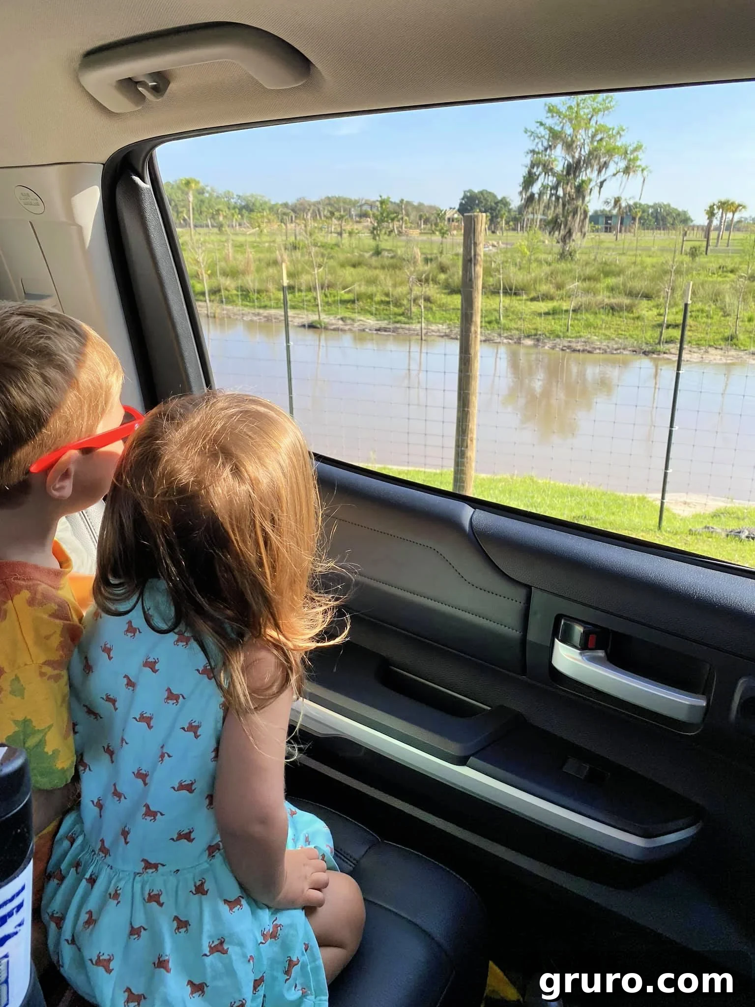 Kids looking out the window, excited at Wild Florida Drive-Thru Safari Park