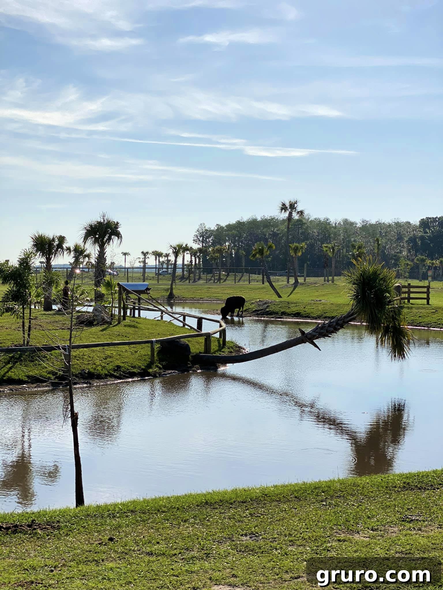 Expansive landscape view of Wild Florida Drive-Thru Safari Park