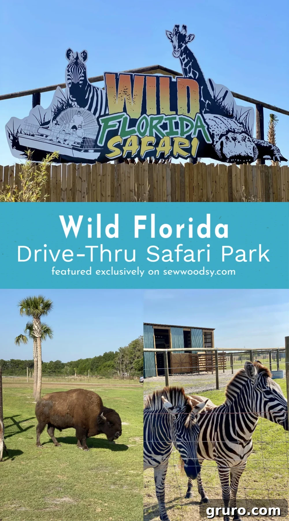 Panoramic view of Wild Florida Drive-Thru Safari