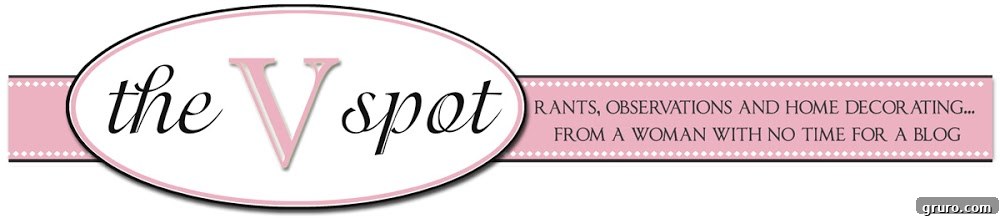 The V Spot Blog Header