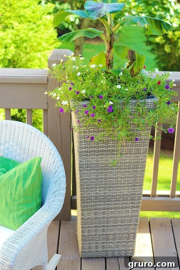 Large wicker planters on a deck, contributing to a refreshed outdoor space, alongside spray painted wicker furniture.