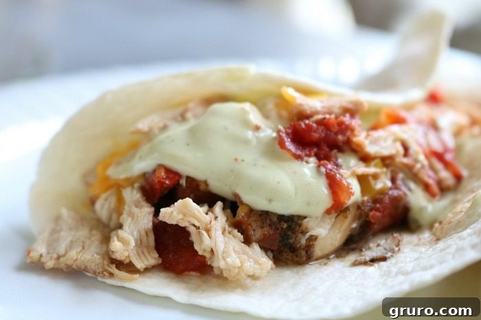 Chicken fajitas served with avocado dressing and fresh toppings